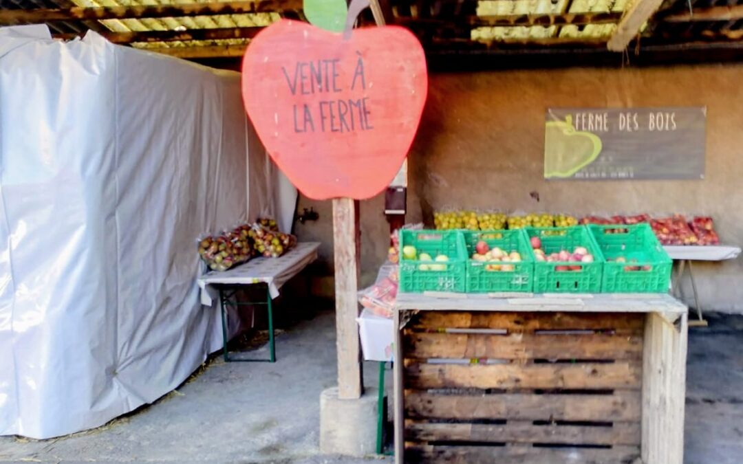 Février sans supermarché – Mes bonnes adresses à Genève 🌿